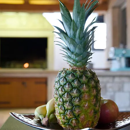 Mi Casa Holidays Ferienhaus *