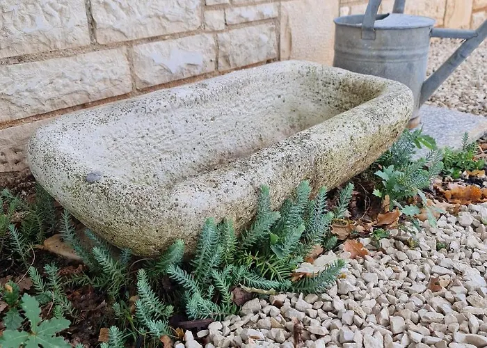 Vakantiehuis Mi Casa Holidays *